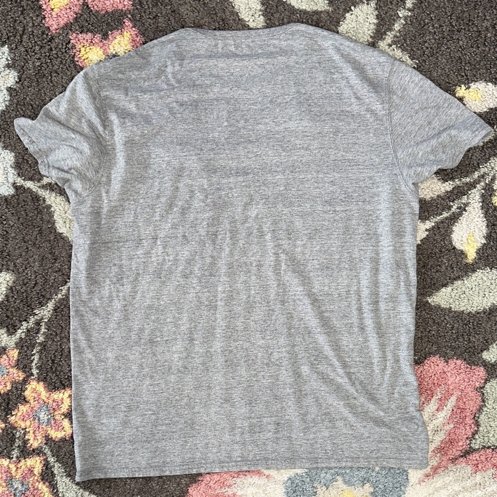American Eagle Outfitters Men’s Heather Gray Graphic Appliqué Tee - Picture 4 of 4